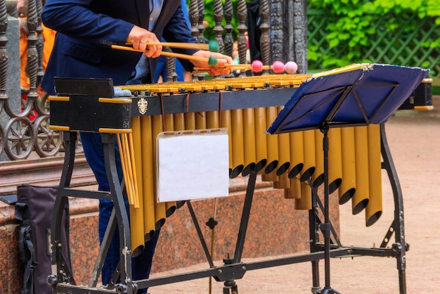 Street musician playing a xylophone in city park