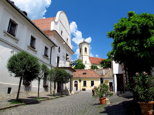 The street in Szentendre town in Hungary country