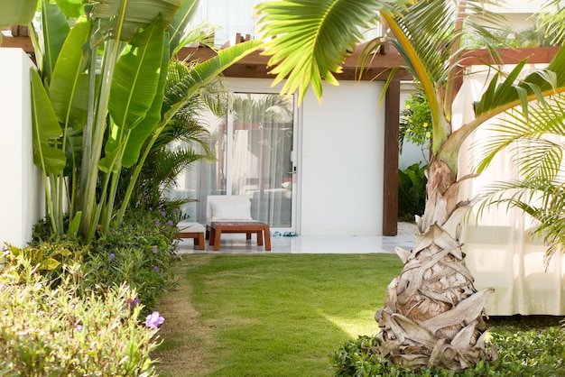 Street view of a small garden with a summer atmosphere