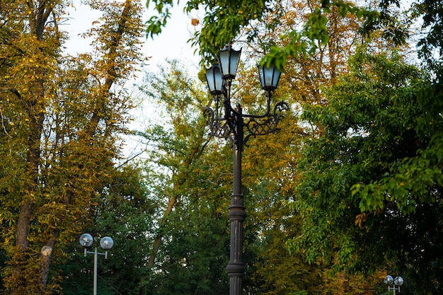 Street vintage lamp in the autumn park.