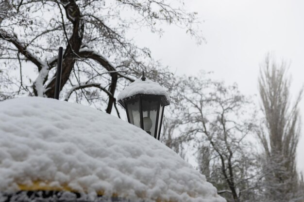 Street vintage lamps in a winter snowcovered park