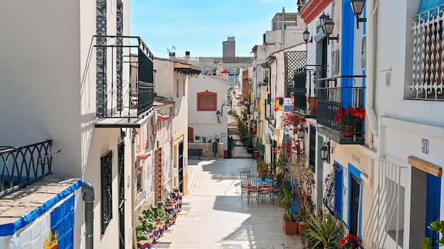 A street with potted flowers and colorful houses in Alicante