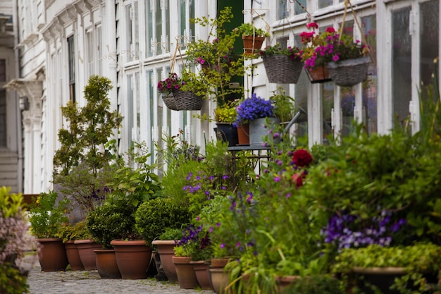 Streets of Bergen