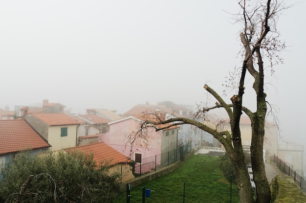 streets. center of old town Piran. sunrise sky, Adriatic sea with yachts. Foggy landscape. Slovenia