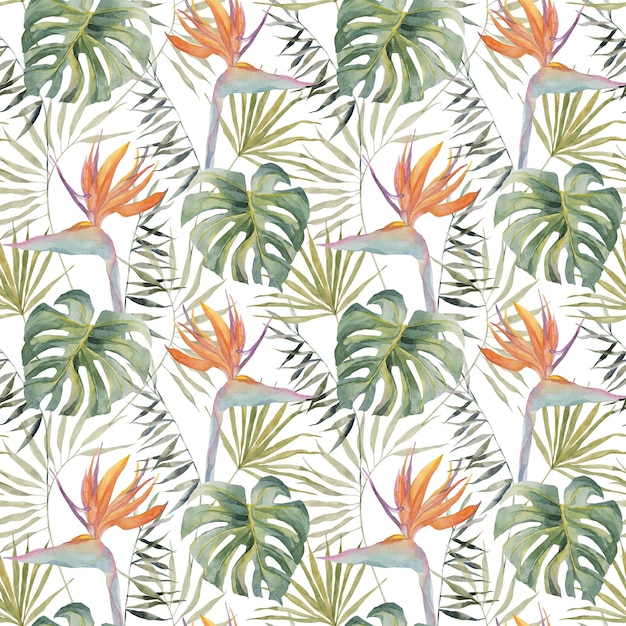 Strelitzia palm tree monstera leaves Tropical seamless pattern Watercolor hand made botanical print