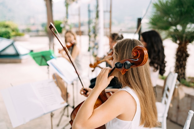 String orchestra plays on a wedding