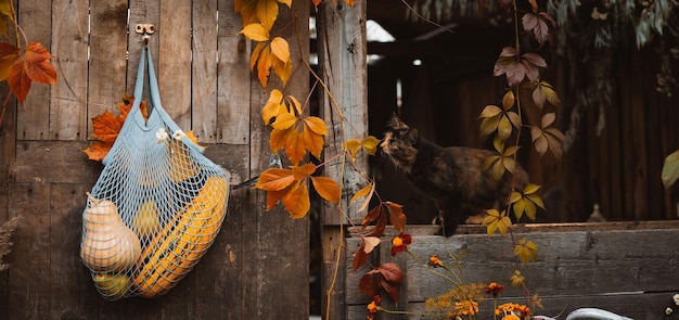 String shopping bag with autumn harvest hanging on old rustic wooden door