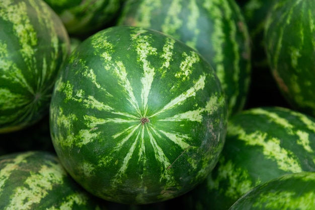 Striped ripe watermelon berry for background ar farmer's market or grocery store front view. Close-up, depth of field.