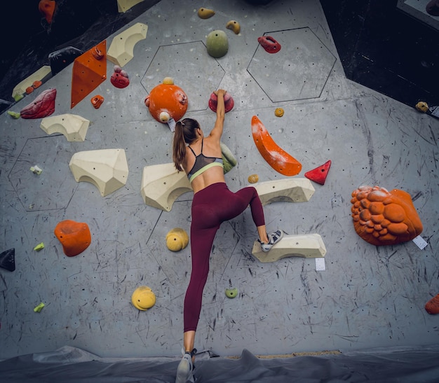 A strong female climber climbs an artificial wall with colorful grips and ropes