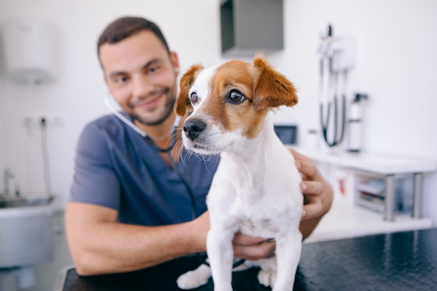 Strong heart beat of a healthy dog