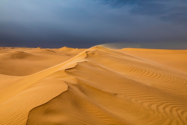 Strong wind at sunset over the sand dunes in the desert Sandstorm in the Desert