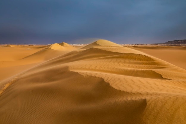 Strong wind at sunset over the sand dunes in the desert Sandstorm in the Sahara Desert