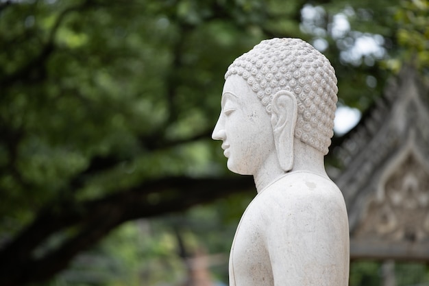 Stucco Buddha statue in temple