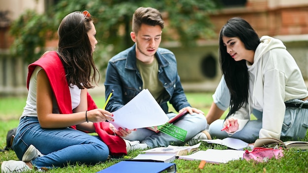 Students sitting on the grass and studying together at the park