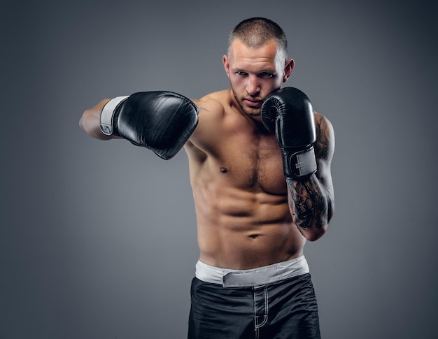 Studio portrait of the shirtless boxing fighter isolated on grey background.