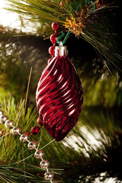 Studio Shot Of Decorated Christmas Tree