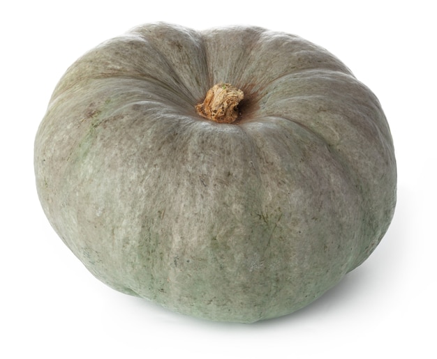 Studio shot of a one pumpkin isolated on white