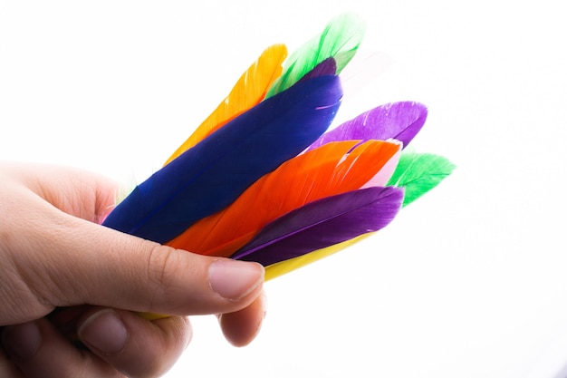 Studio shot photo colored bird feathers as texture background