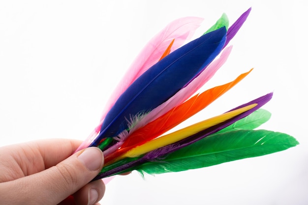 Studio shot photo colored bird feathers as texture background