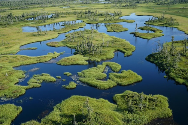 studying habitat suitability using GIS techniques generative ai