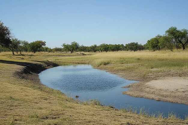 studying wildlife adaptations to drought condition generative ai