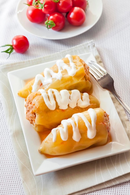 Stuffed bell pepper with meat and rice on a white square plate