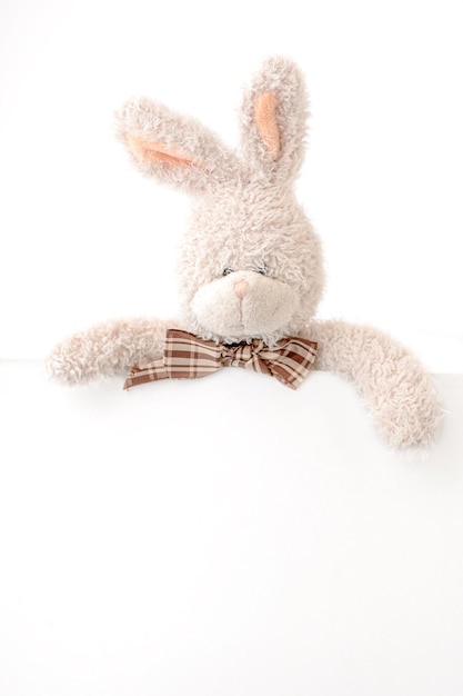 A stuffed rabbit with a plaid bow is holding a blank sign in front of it.