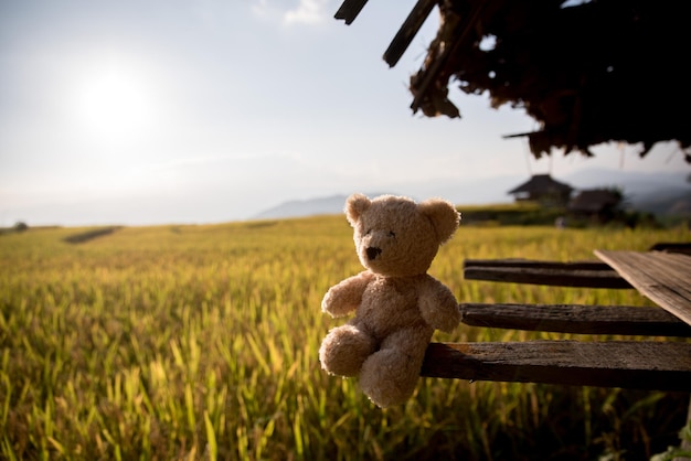 Photo stuffed toy on field against sky