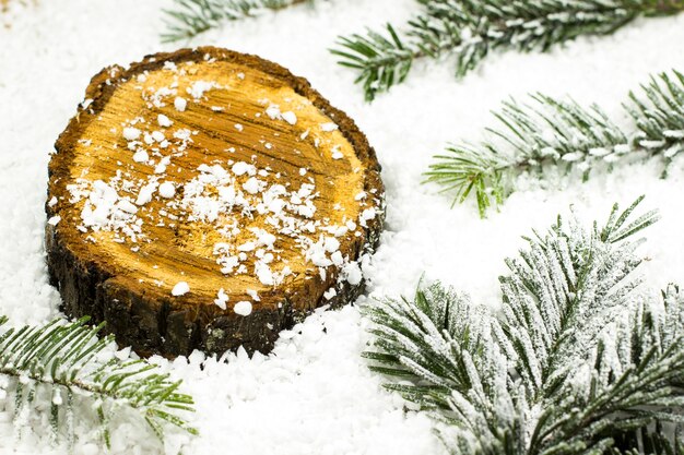 Stump among snow and fir branches