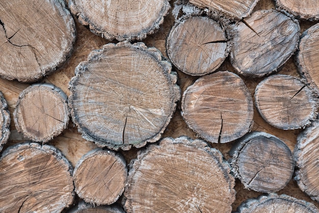 Stumps of tree. Wooden background with rough and natural