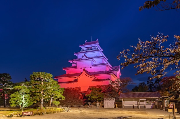 A stunning night scene of full bloom of ginkgo blossom at Tsuruga-jo castle, light up at night time. Aizu Wakamatsu, Fukushima Japan.