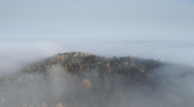 Stunning view of a wooded autumn hill sticking out of the fog