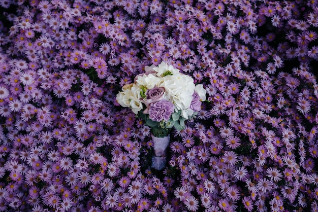 Stunningly beautiful flower bed of purple asters. Flowers Spring