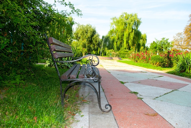 Stylish bench in the summer park. Metal and wood bench outdoors.