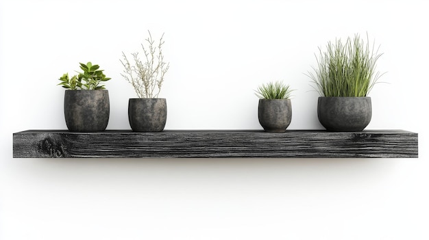 Photo a stylish black floating shelf adorned with potted plants showcasing a minimalist and modern h