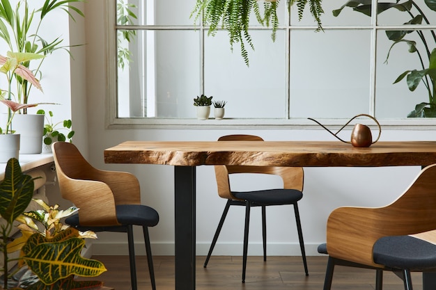 Stylish and botany interior of dining room with design craft wooden table, chairs, a lof of plants