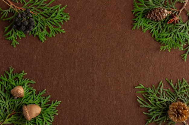 Stylish christmas composition spruce branches on brown felt background copy space