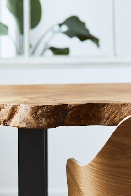 Stylish and cozy compositon of craft oak wooden table with chairs, plant and modern floor in beautiful interior of design home. Template.