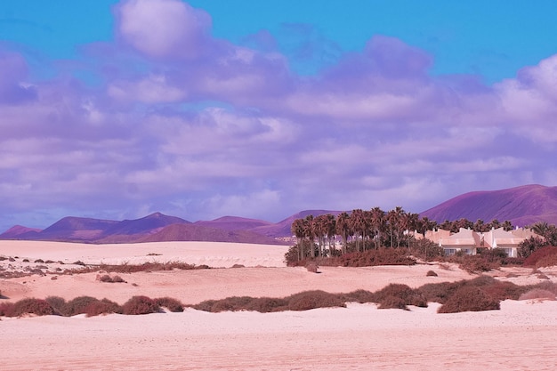 Stylish fashion tropical viewTravel concept Canary island Desert Minimalist aesthetic