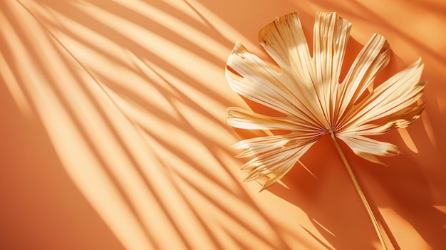 Stylish Flatlay of Dry Palm Leaf on Vibrant Orange Background