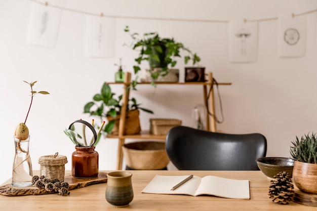 Stylish interior of home office space with wooden desk, forest accessories, avocado plant, bamboo shelf, plants and rattan decoration