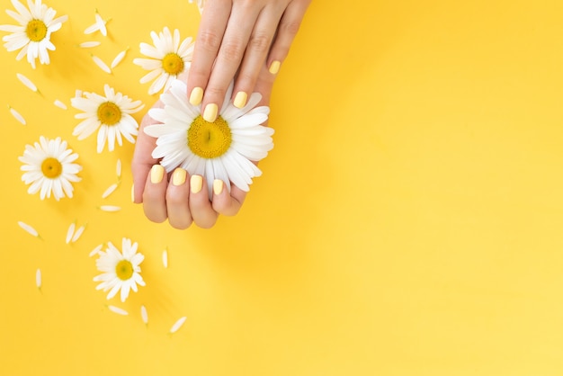 Stylish trendy female manicure. Daisy flower in hand with a beautiful manicure. 