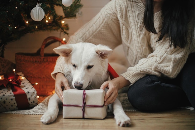 Photo stylish woman and adorable dog holding christmas gift under christmas tree with lights merry xmas