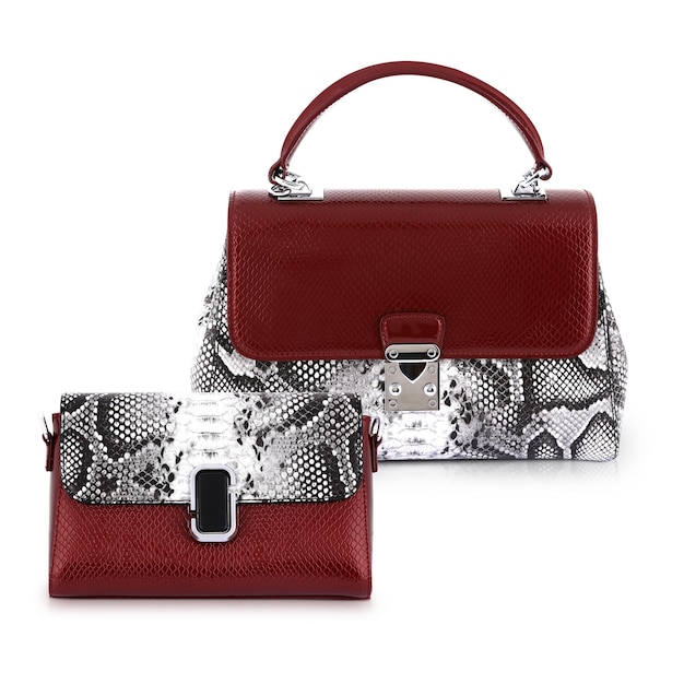 Stylish womens accessories Beautiful set of womens handbag on a white background Red black and white snake skin ladies bag