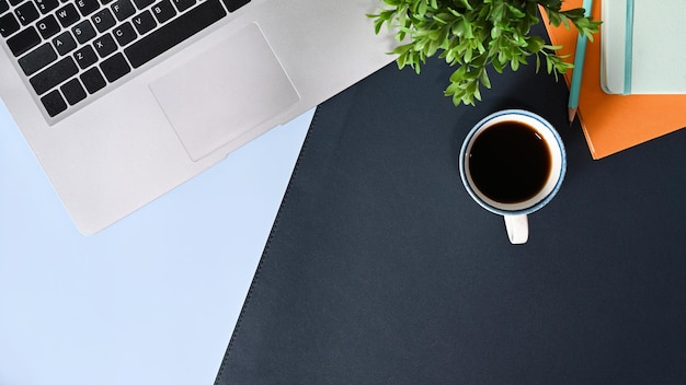 Stylish workspace with laptop computer coffee cup notebook and houseplant on blue background