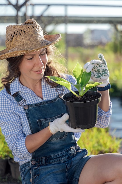 Stylish young womangardener holding a plant before planting in garden