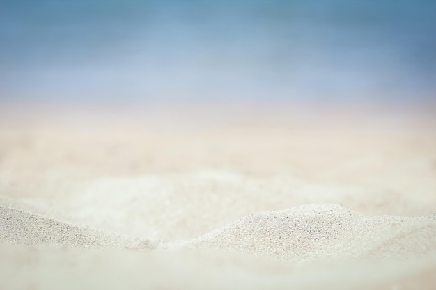 Stylishly beautiful seashell coral on sand background on sea