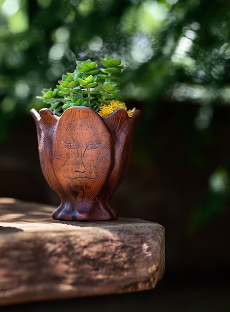 Succulent in the bronze flowerpot in the shape of a girl's face