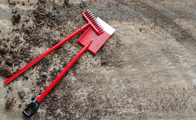 Succulent plant leaves with tools