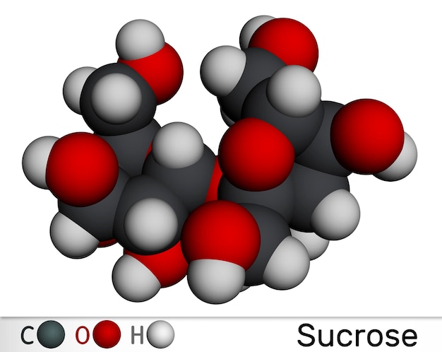 Sucrose sugar molecule Molecular model 3D rendering